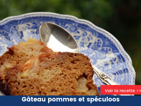 Gâteau pommes et spéculoos